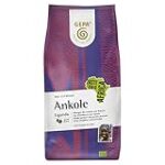 „Gepa Kaffee im Test: Analyse und Vergleich der besten Kaffees und Kaffeeprodukte für echten Genuss“