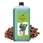 Die optimale Kaffeepflanzen-Erde: Analyse und Vergleich der besten Produkte für erstklassigen Kaffeegenuss