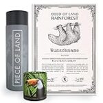 Die Lage von Peru: Ein Schlüssel zur Entdeckung der besten Kaffees und Kaffeeprodukte